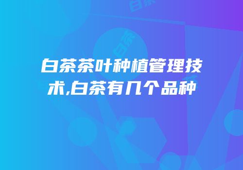 白茶茶叶种植管理技术,白茶有几个品种