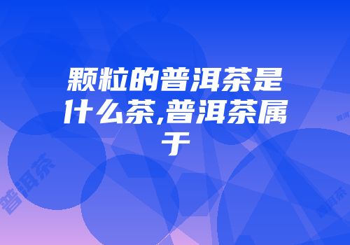 颗粒的普洱茶是什么茶,普洱茶属于
