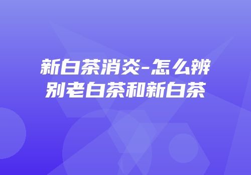 新白茶消炎-怎么辨别老白茶和新白茶