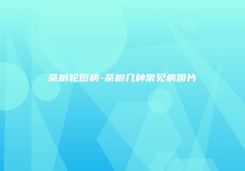 茶树轮斑病-茶树几种常见病图片