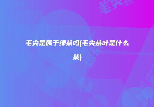 毛尖是属于绿茶吗(毛尖茶叶是什么茶)