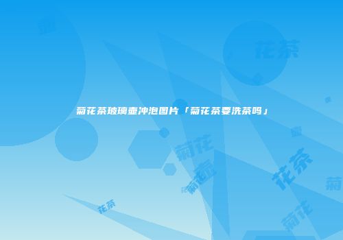 菊花茶玻璃壶冲泡图片「菊花茶要洗茶吗」