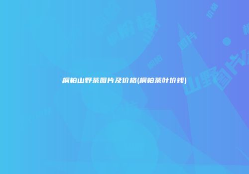 桐柏山野茶图片及价格(桐柏茶叶价钱)