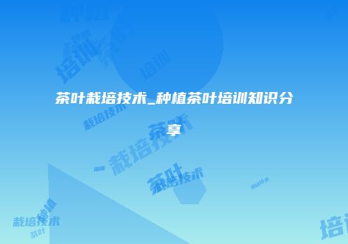 茶叶栽培技术_种植茶叶培训知识分享
