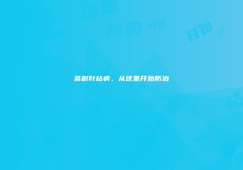 茶树叶枯病，从这里开始防治