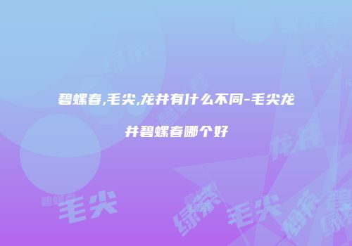 碧螺春,毛尖,龙井有什么不同-毛尖龙井碧螺春哪个好