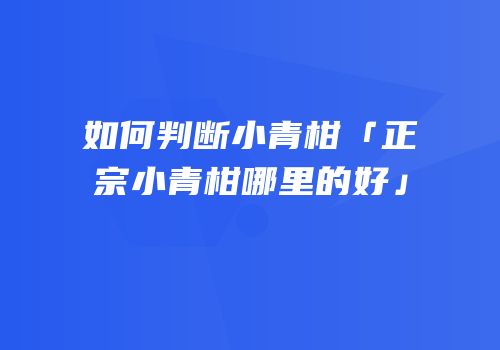 如何判断小青柑「正宗小青柑哪里的好」