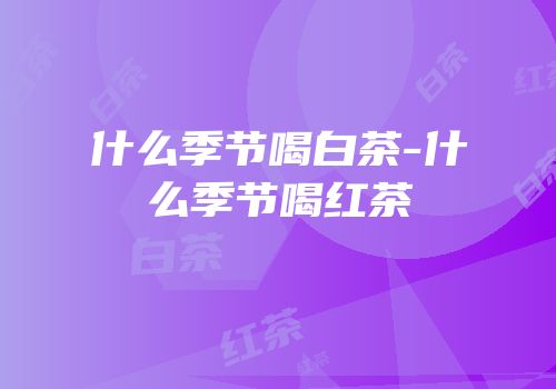 什么季节喝白茶-什么季节喝红茶