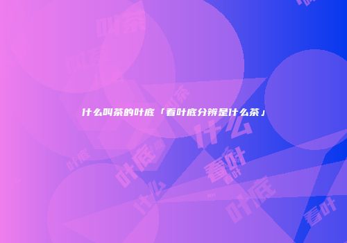 什么叫茶的叶底「看叶底分辨是什么茶」