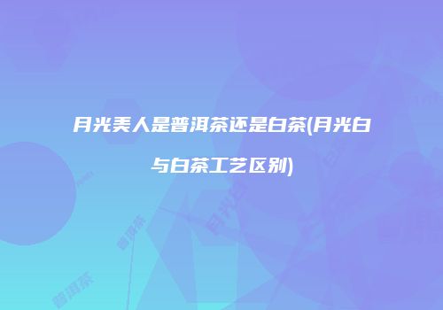 月光美人是普洱茶还是白茶(月光白与白茶工艺区别)