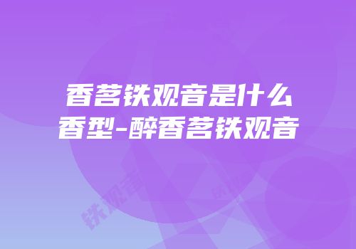 香茗铁观音是什么香型-醉香茗铁观音