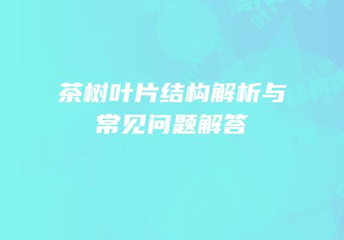 茶树叶片结构解析与常见问题解答
