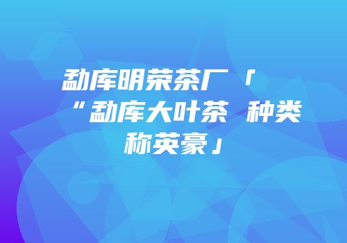 勐库明荣茶厂「“勐库大叶茶 种类称英豪」