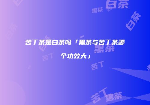 苦丁茶是白茶吗「黑茶与苦丁茶哪个功效大」