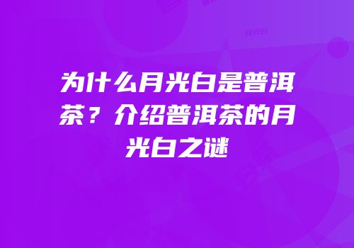 为什么月光白是普洱茶？介绍普洱茶的月光白之谜