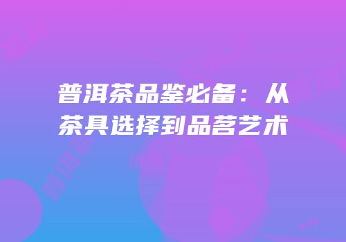 普洱茶品鉴必备：从茶具选择到品茗艺术