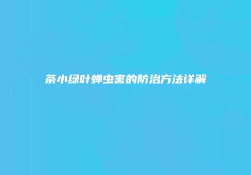 茶小绿叶蝉虫害的防治方法详解