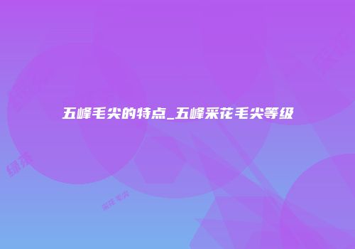 五峰毛尖的特点_五峰采花毛尖等级