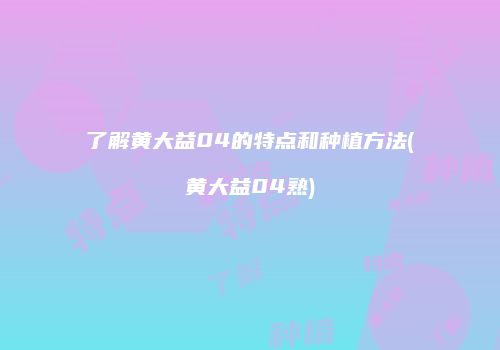了解黄大益04的特点和种植方法(黄大益04熟)