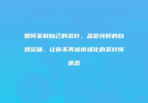 如何采制自己的茶叶，品尝纯粹的自然滋味，让你不再被市场化的茶叶所迷惑