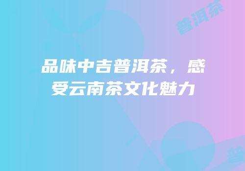 品味中吉普洱茶，感受云南茶文化魅力