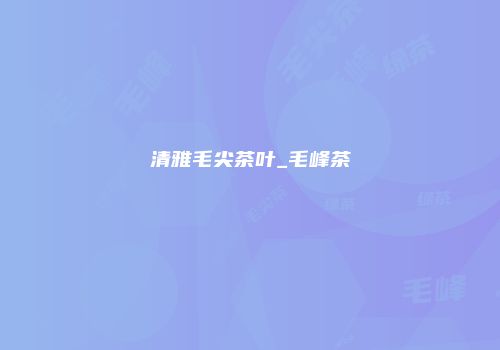 清雅毛尖茶叶_毛峰茶