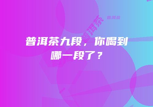 普洱茶九段，你喝到哪一段了？