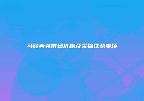马陵春芽市场价格及采摘注意事项