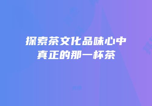 探索茶文化品味心中真正的那一杯茶