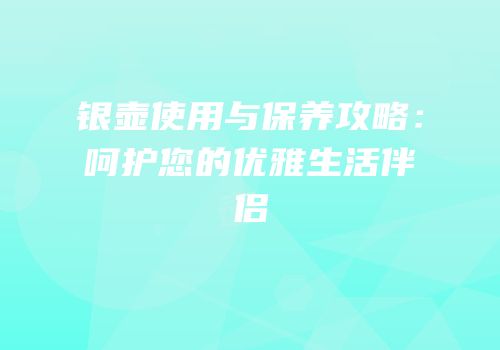 银壶使用与保养攻略：呵护您的优雅生活伴侣