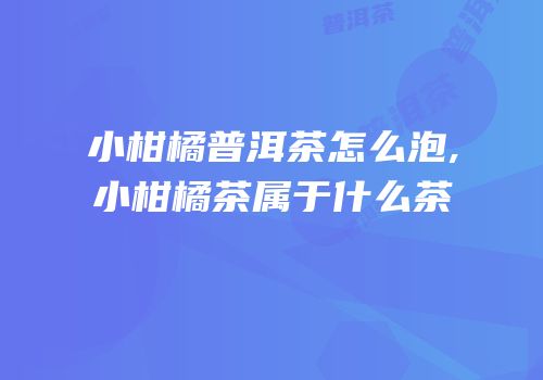 小柑橘普洱茶怎么泡,小柑橘茶属于什么茶