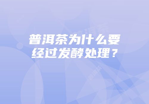 普洱茶为什么要经过发酵处理？