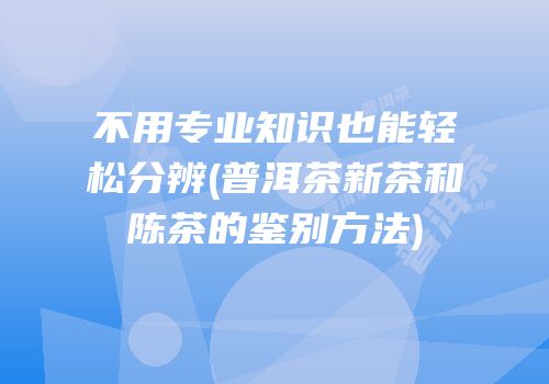 不用专业知识也能轻松分辨(普洱茶新茶和陈茶的鉴别方法)