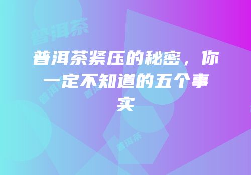 普洱茶紧压的秘密，你一定不知道的五个事实