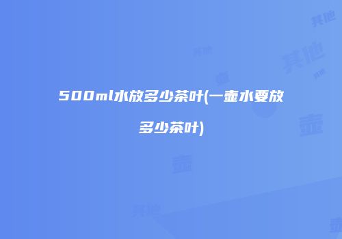 500ml水放多少茶叶(一壶水要放多少茶叶)