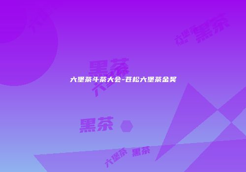 六堡茶斗茶大会-苍松六堡茶金奖
