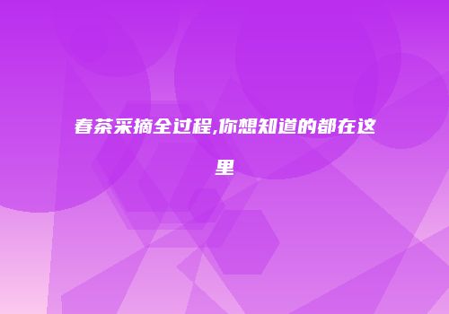春茶采摘全过程,你想知道的都在这里
