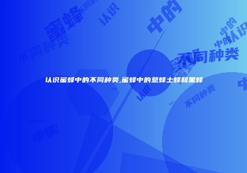 认识蜜蜂中的不同种类,蜜蜂中的意蜂土蜂和黑蜂