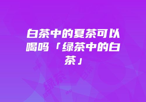 白茶中的夏茶可以喝吗「绿茶中的白茶」