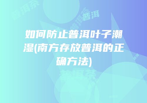 如何防止普洱叶子潮湿(南方存放普洱的正确方法)