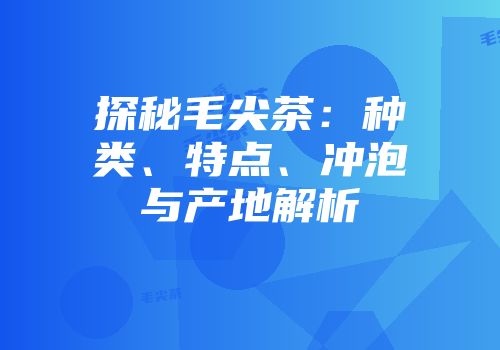 探秘毛尖茶：种类、特点、冲泡与产地解析