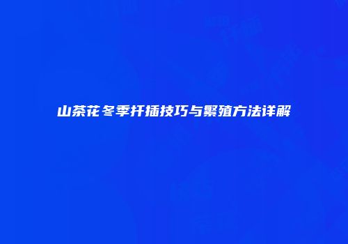 山茶花冬季扦插技巧与繁殖方法详解