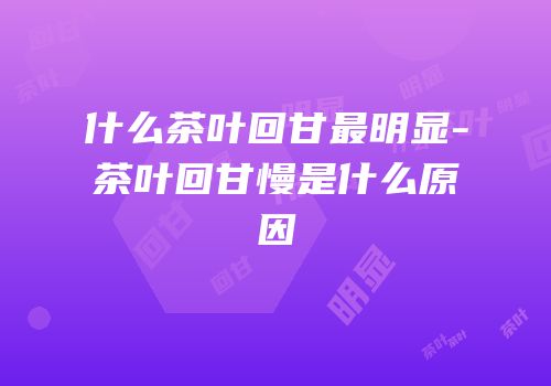 什么茶叶回甘最明显-茶叶回甘慢是什么原因
