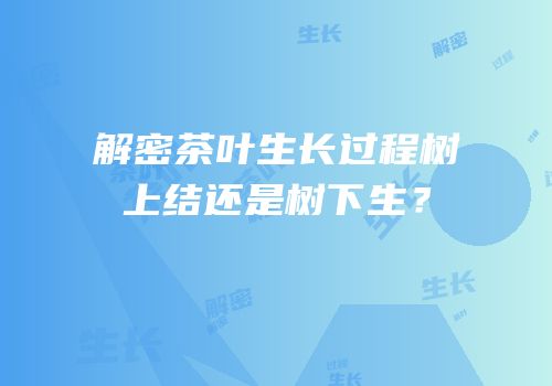 解密茶叶生长过程树上结还是树下生？