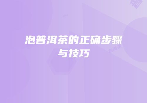 泡普洱茶的正确步骤与技巧