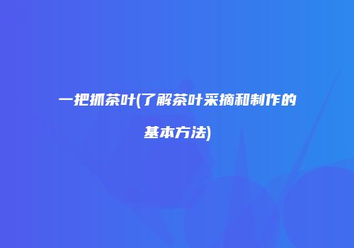 一把抓茶叶(了解茶叶采摘和制作的基本方法)