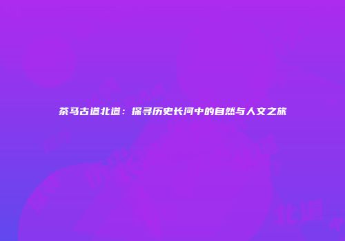 茶马古道北道：探寻历史长河中的自然与人文之旅