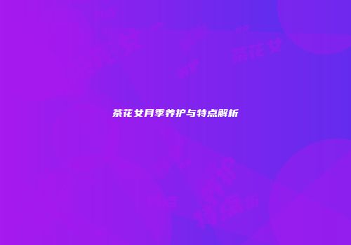 茶花女月季养护与特点解析