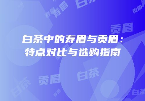 白茶中的寿眉与贡眉：特点对比与选购指南