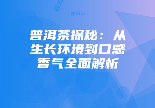 普洱茶探秘：从生长环境到口感香气全面解析